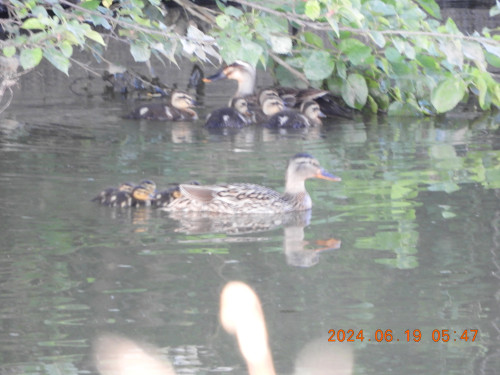 DSCN0102.JPG