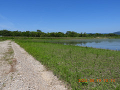 DSCN0112.JPG