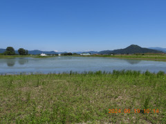 DSCN0113.JPG