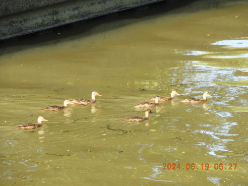 DSCN0131.JPG