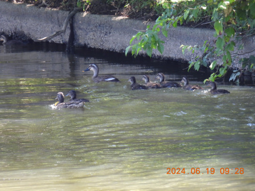DSCN0090.JPG