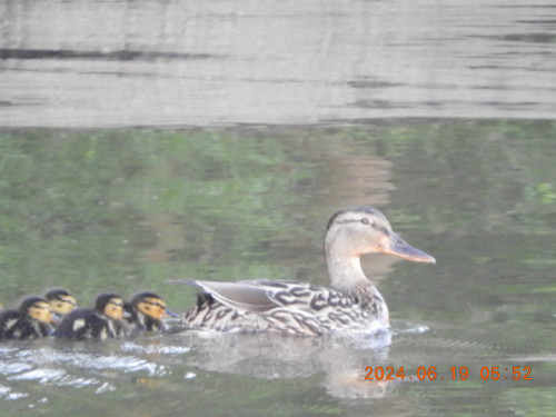 DSCN0107.JPG