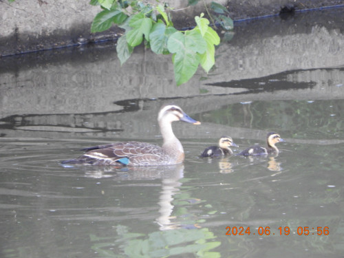 DSCN0115.JPG