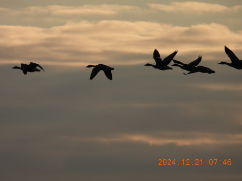 DSCN9971 - コピー.JPG