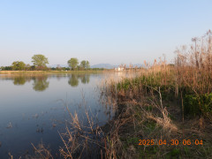 DSCN0342.JPG