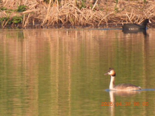 DSCN0345.JPG