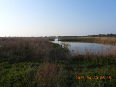 DSCN0350.JPG
