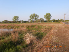 DSCN0351.JPG