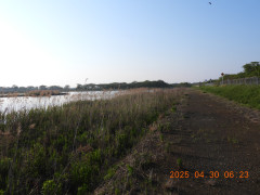 DSCN0356.JPG