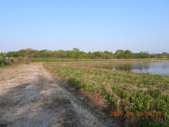 DSCN0357.JPG