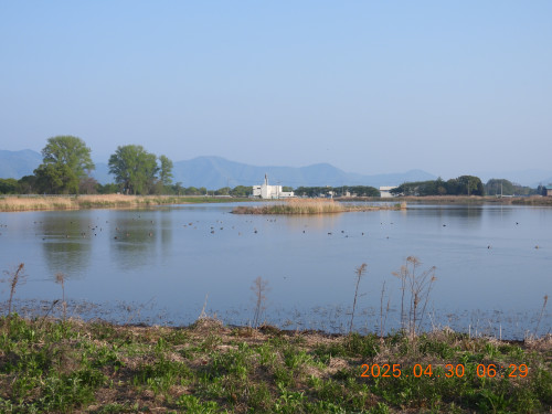DSCN0360.JPG