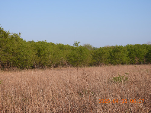 DSCN0363.JPG