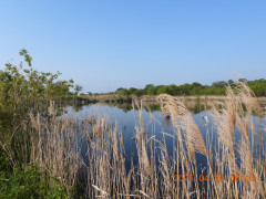 DSCN0365.JPG