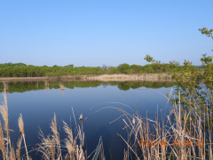DSCN0366.JPG