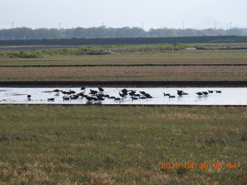 DSCN0368.JPG