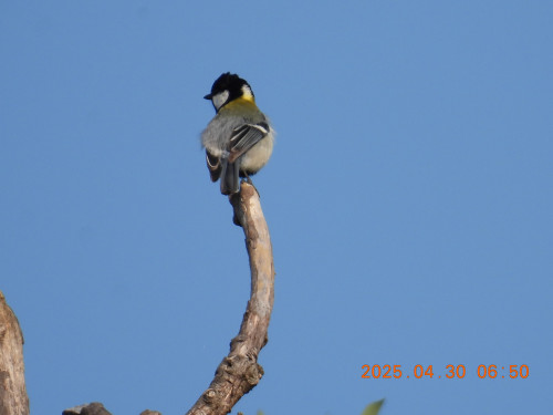 DSCN0371.JPG