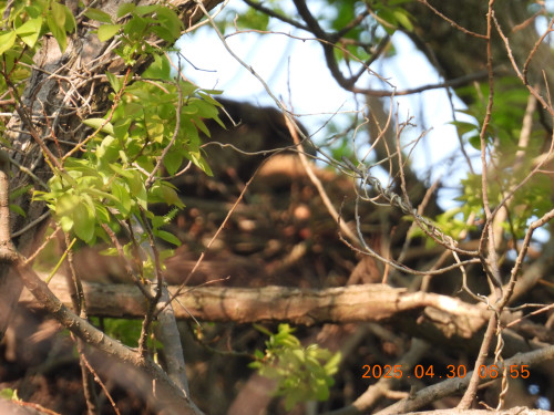 DSCN0377.JPG