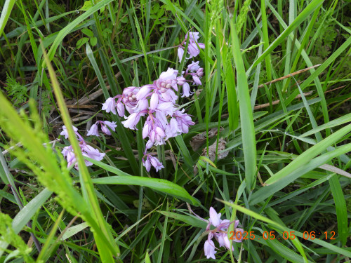 DSCN0409.JPG