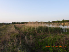 DSCN0391.JPG