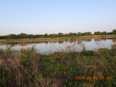 DSCN0392.JPG