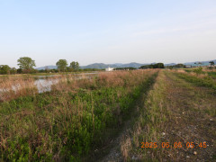 DSCN0393.JPG