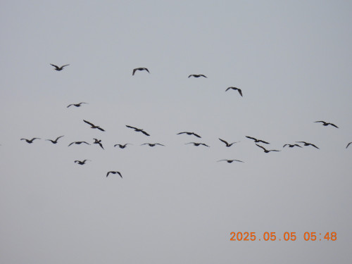DSCN0395.JPG