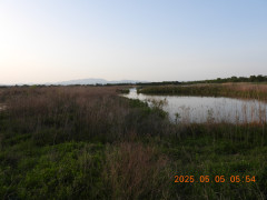 DSCN0397.JPG