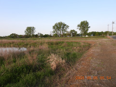 DSCN0398.JPG