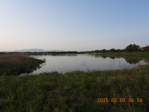 DSCN0399.JPG