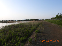 DSCN0402.JPG