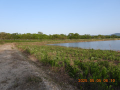 DSCN0405.JPG