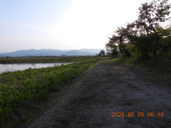 DSCN0407.JPG