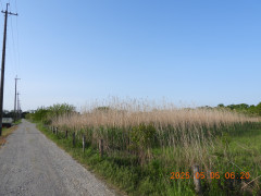 DSCN0412.JPG