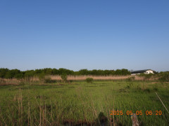 DSCN0413.JPG