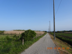 DSCN0414.JPG