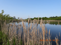 DSCN0417.JPG