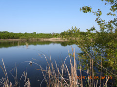 DSCN0418.JPG