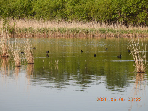 DSCN0419.JPG
