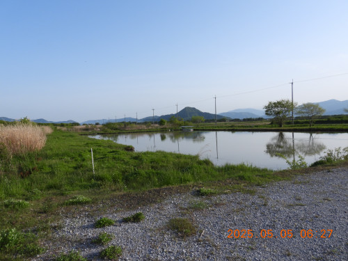 DSCN0420.JPG