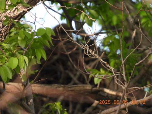DSCN0422.JPG