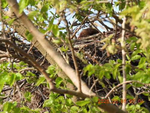 DSCN0427.JPG