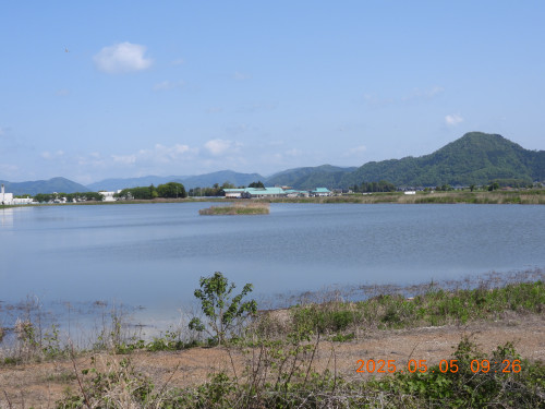 DSCN0430.JPG