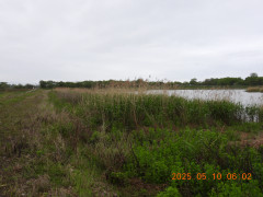DSCN0435.JPG