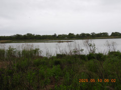 DSCN0436.JPG