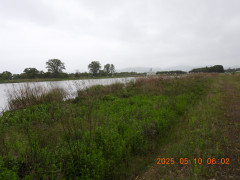 DSCN0437.JPG