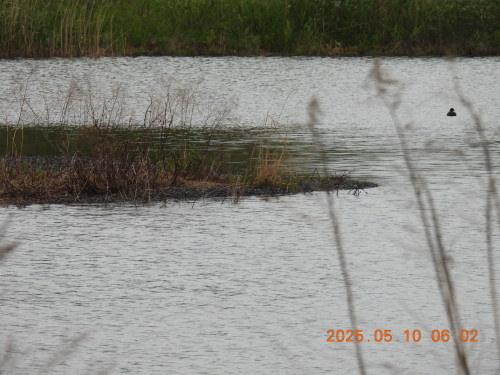 DSCN0439.JPG
