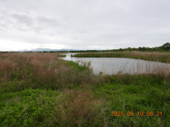 DSCN0448.JPG