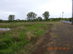 DSCN0449.JPG