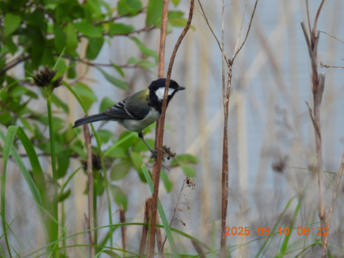 DSCN0450.JPG