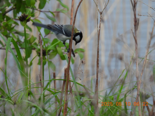 DSCN0462.JPG